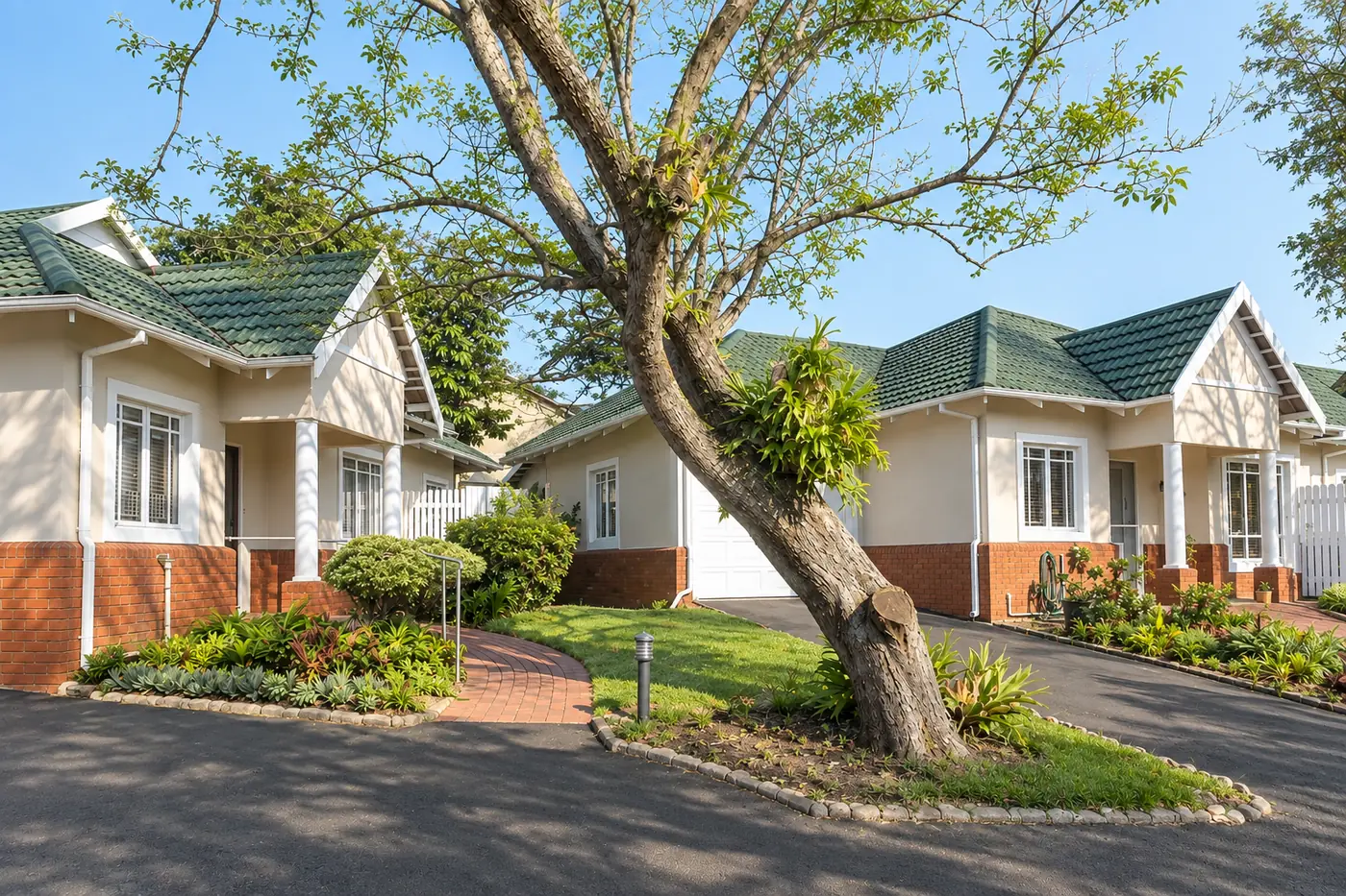 Palm-lined cottage